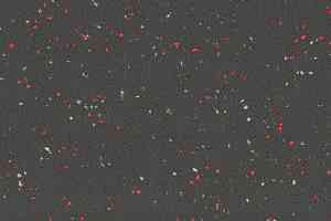 Линолеум Taralay Premium Compact Indiana 3705 SUMBAWA фото  | FLOORDEALER